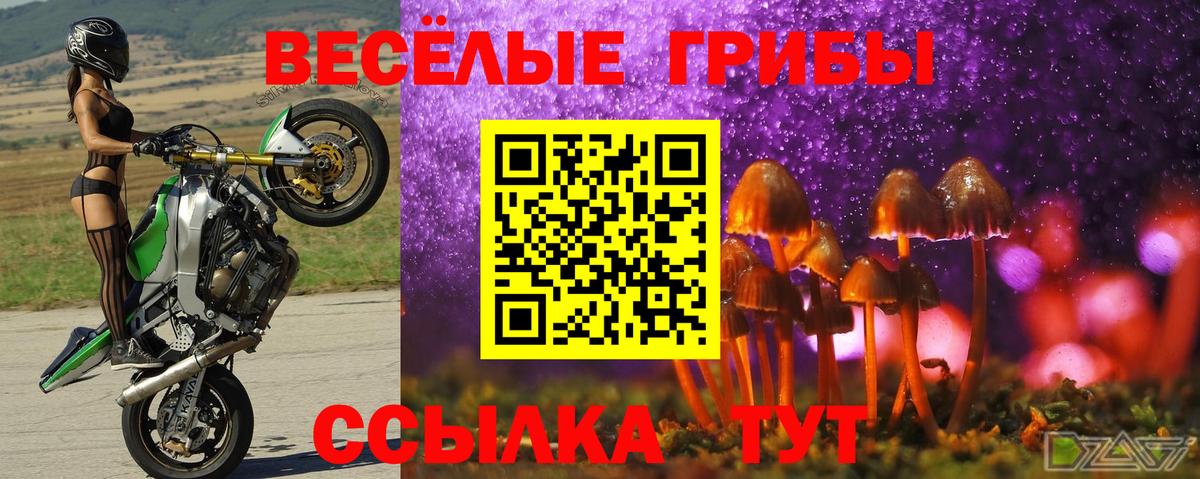 Галлюциногенные грибы прущие грибы Кубинка