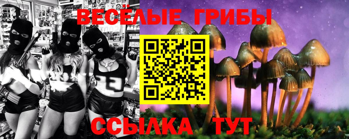 купить наркотики сайты  Вход с VPN  Кубинка  Псилоцибиновые грибы мухоморы 